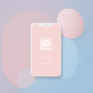 Product packaging companion
