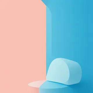 No Downloads Needed