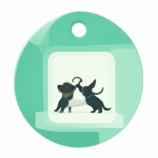 Dog Walker’s Cheat Sheet