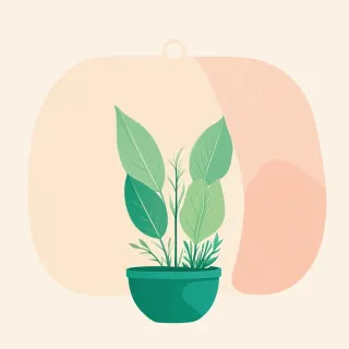 Plant Swap Portfolios
